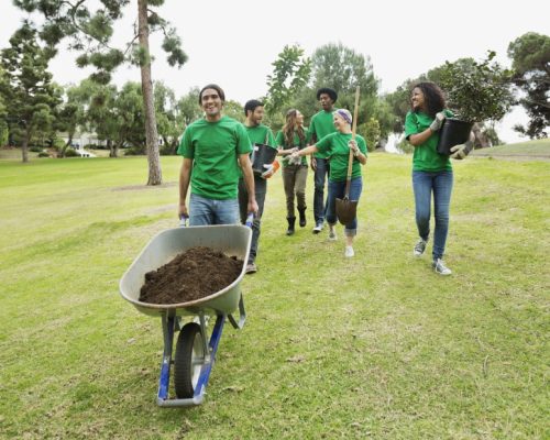 ACA high school volunteer programs