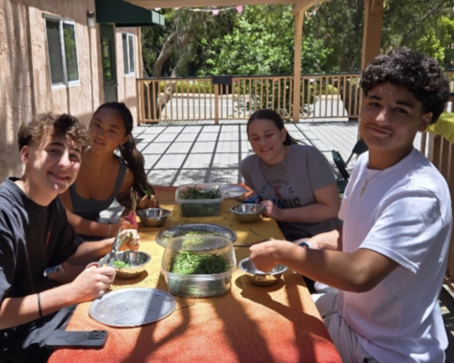 Comm serv farm malibu