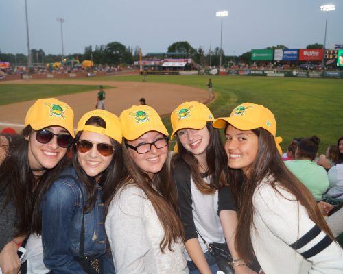 High School Pre College Summer Programs in Wisconsin at Baseball Game