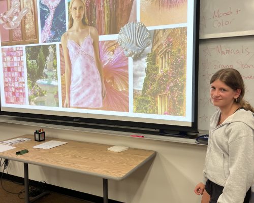 Final Presentation Stella Friedman fashion