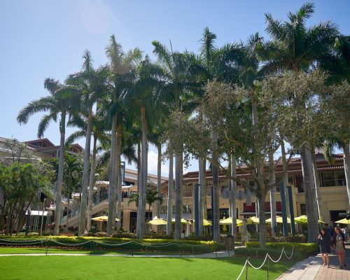 Thesis Hotel Miami 5