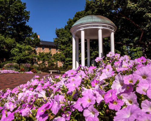 View of the Old Well on the campus of the University of North Carolina at Chapel Hill on July 10, 2018.
(Johnny Andrews/UNC-Chapel Hill)