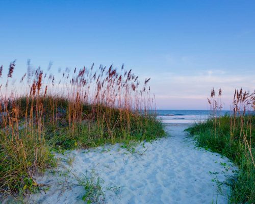 ACA high school volunteer programs