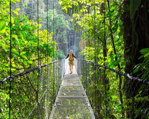 jungle costa rica