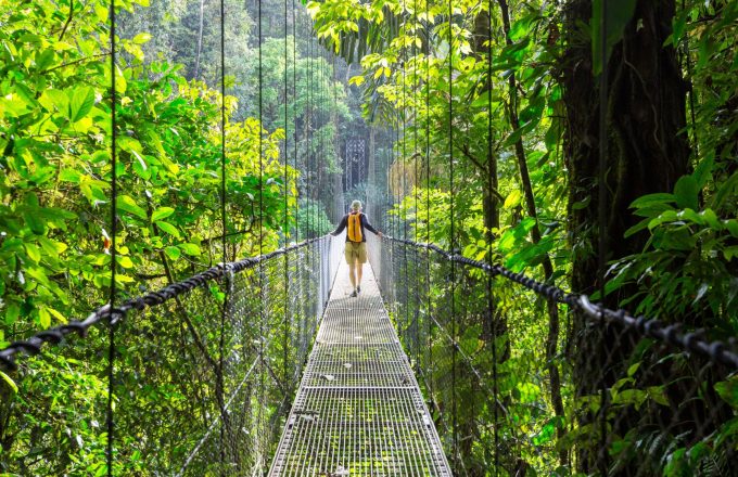 jungle costa rica