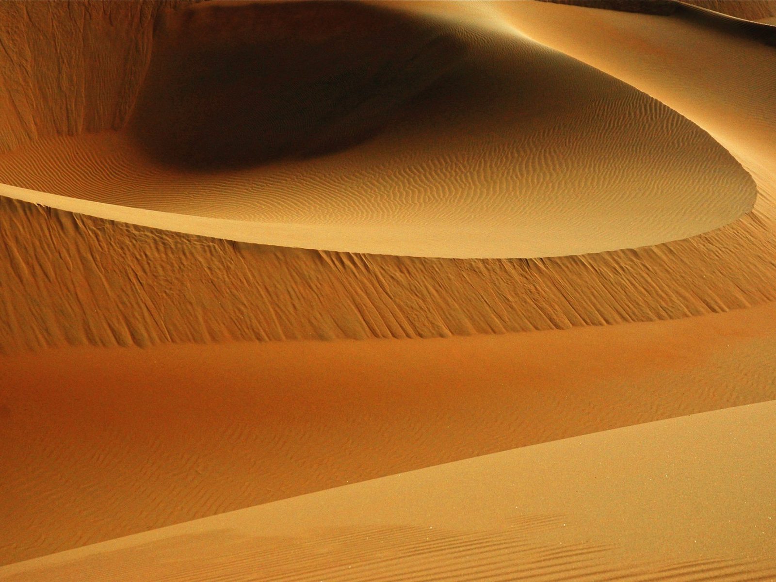 lee-miller-47629-unsplash